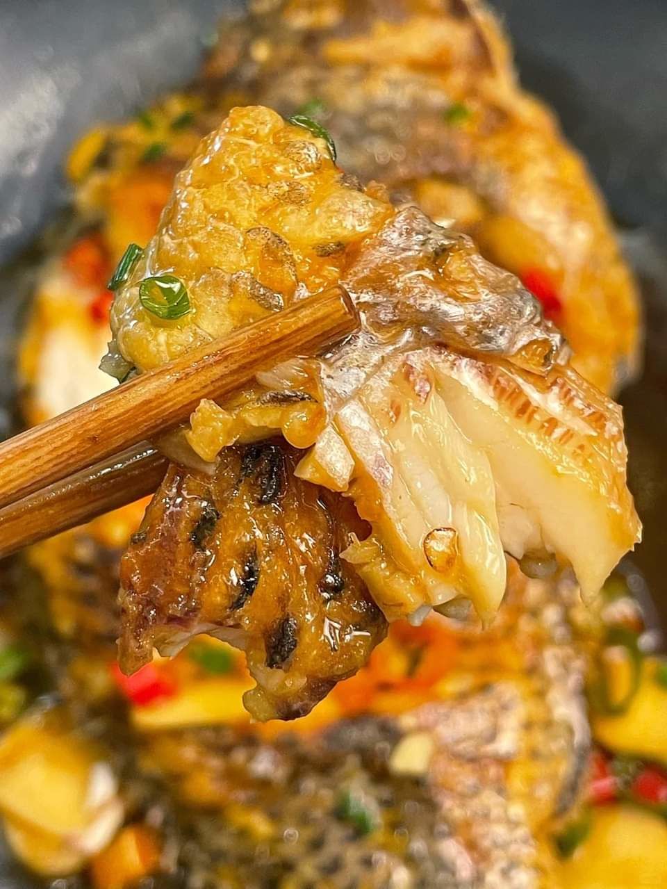 炖罗非鱼的家常做法(怎样炖罗非鱼好吃又简单)