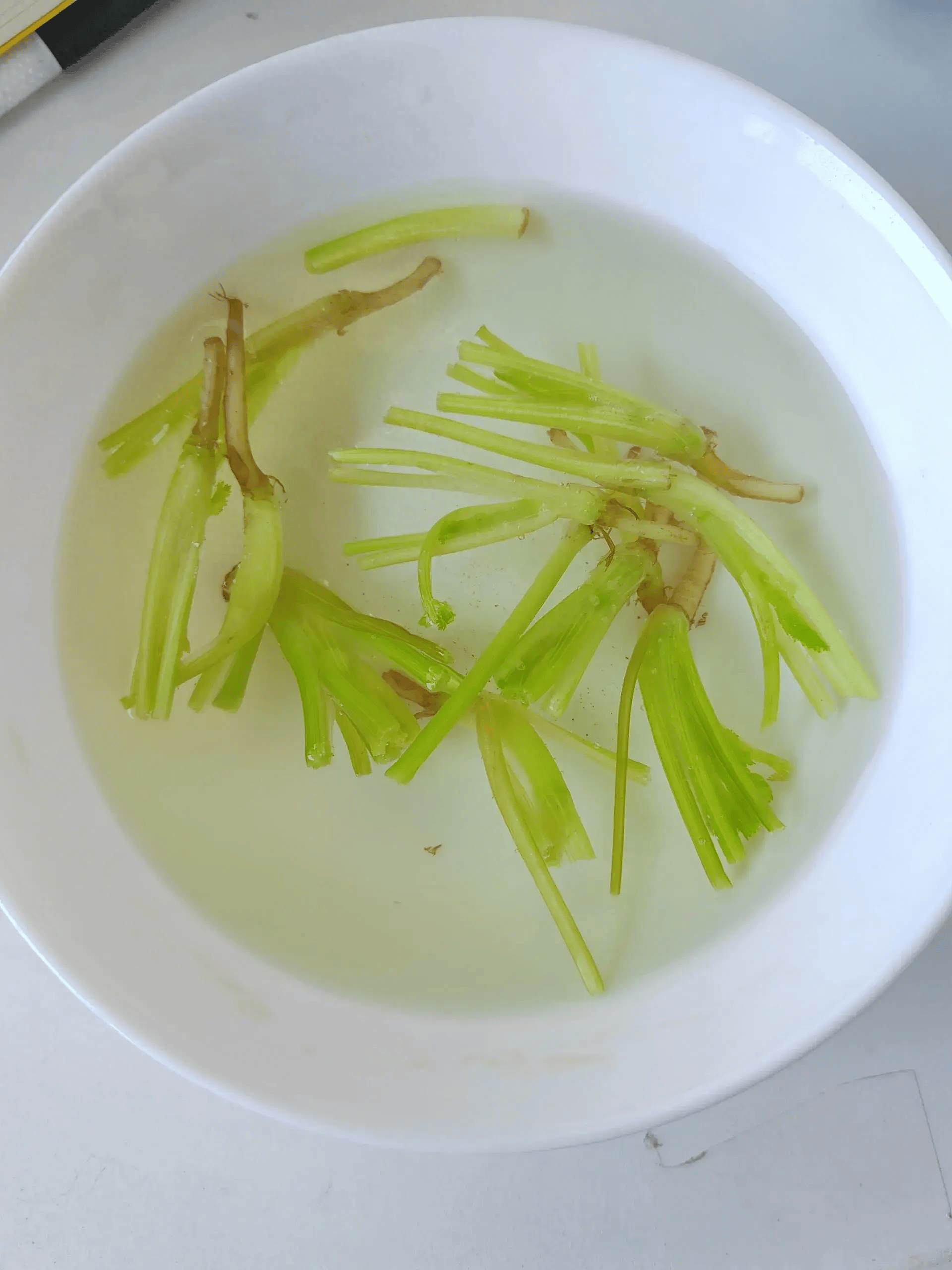 香莱根凉菜(香菜根凉拌吃的营养价值) 香莱根凉菜(香菜根凉拌吃的营养价值)