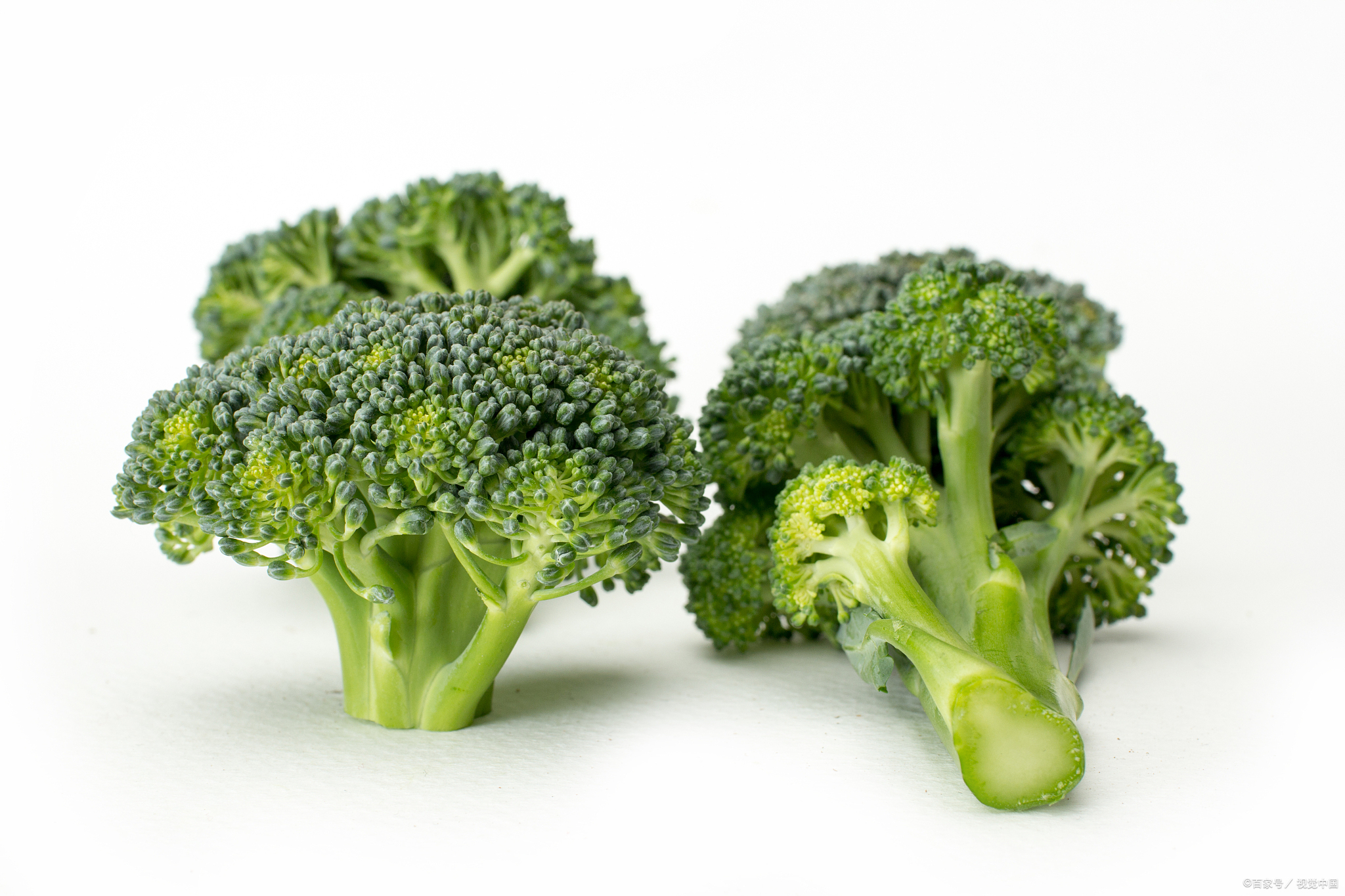 减肥吃什么素菜好(减肥吃什么素菜好呢) 减肥吃什么素菜好(减肥吃什么素菜好呢)