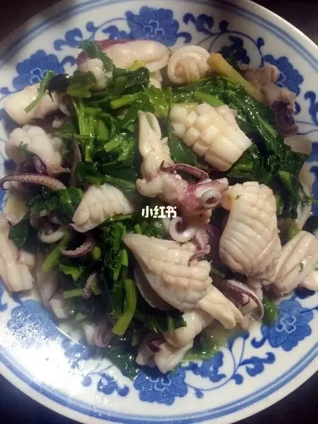 乌贼鱼的做法大全家常(乌贼鱼怎么做好吃的视频)