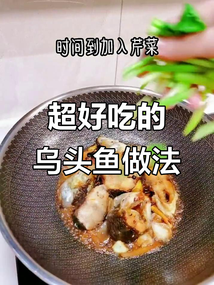 乌贼鱼的做法大全家常(乌贼鱼怎么做好吃的视频)