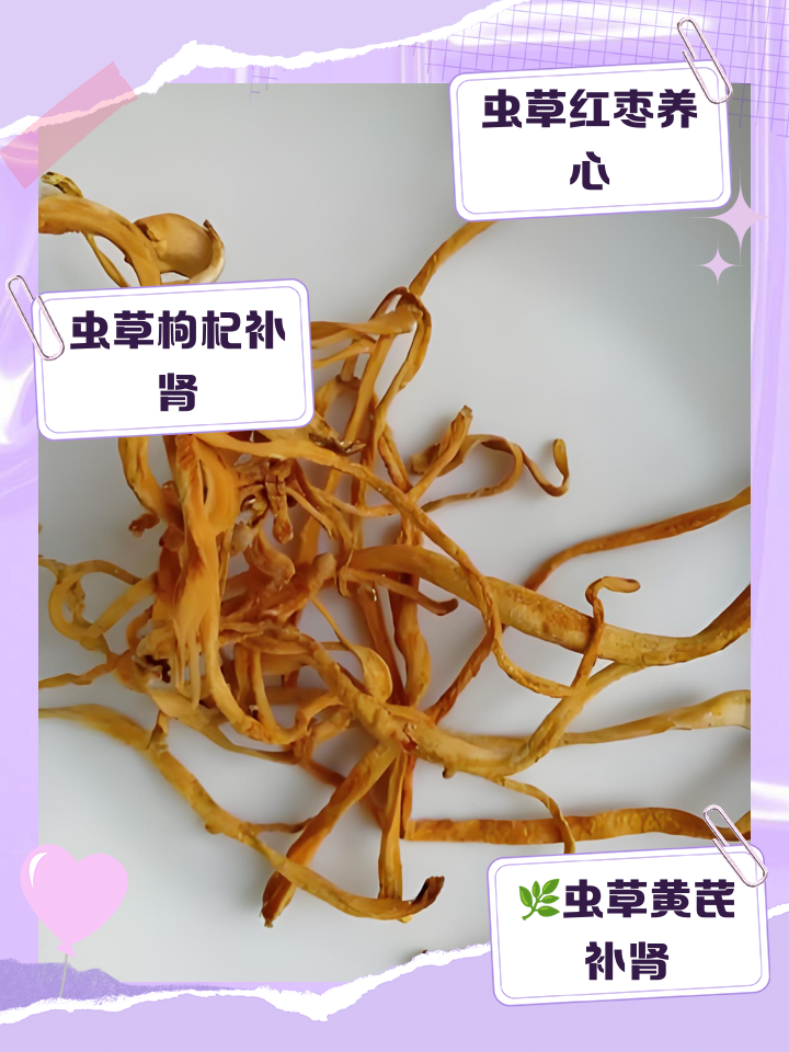 凉菜虫草怎么办(凉菜虫草怎么办才能吃) 凉菜虫草怎么办(凉菜虫草怎么办才能吃)