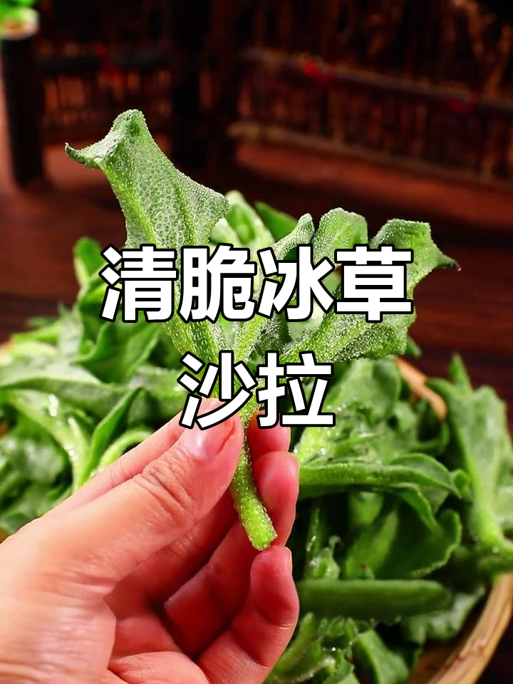 火锅店精品凉菜(火锅店凉菜大全集简单)