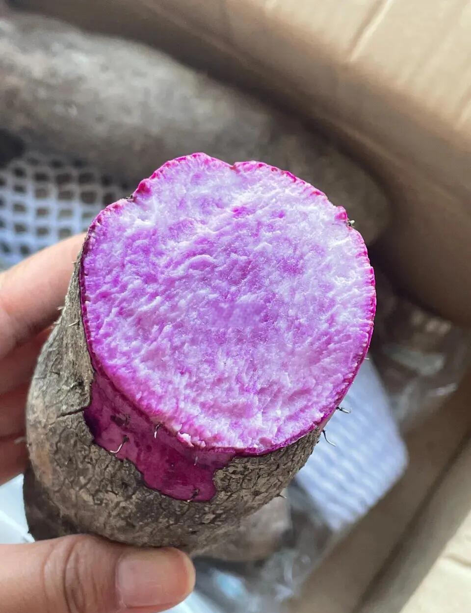 紫山药凉菜(紫山药做什么汤)