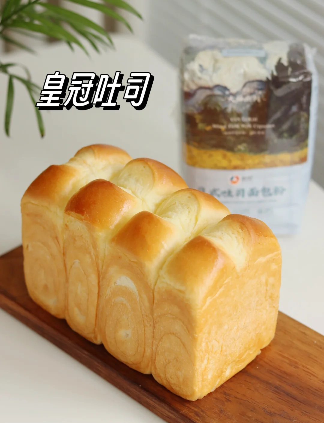 吐司面包早餐的做法(吐司面包早餐简单做法)