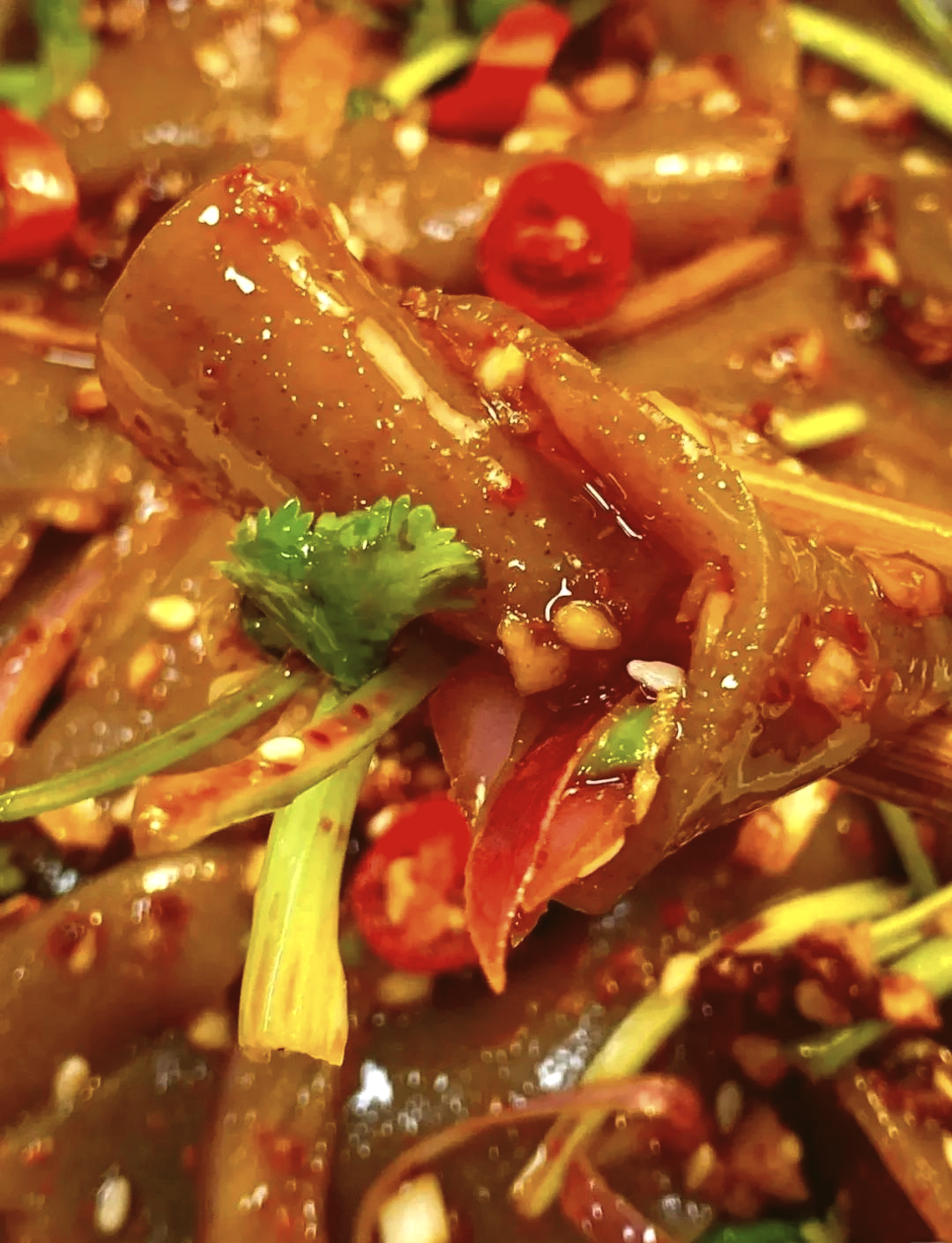 有魔芋粉丝的凉菜(有魔芋粉丝的凉菜怎么做)