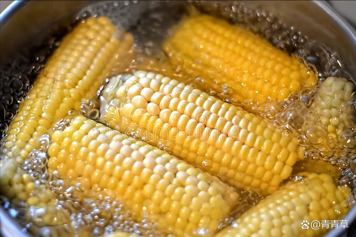 水煮玉米小吃(水煮玉米放什么调料)
